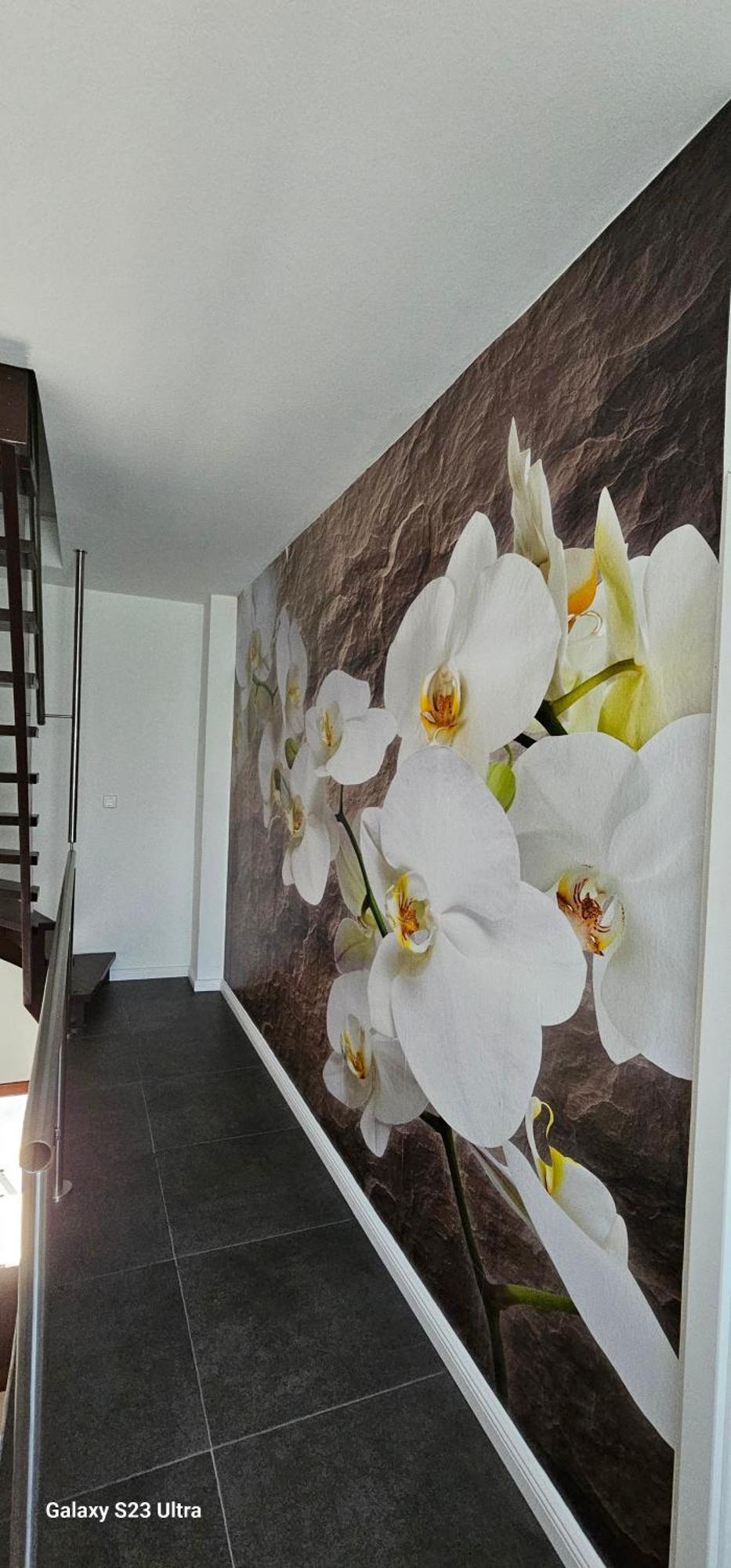 Gaestehaus Orchidee Hoya Exterior photo
